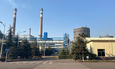 进口碳酸氢钠合作单位